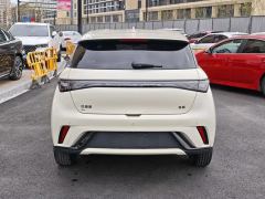 BYD Dolphin 420km Vitality Edition - photo 9