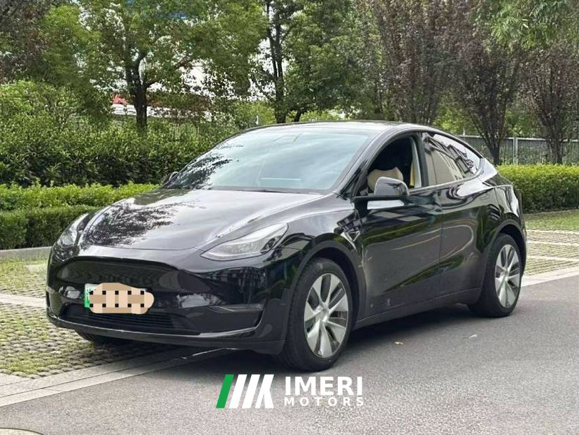 Tesla Model Y Standard endurance rear-wheel drive - car from China