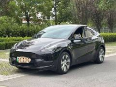 Tesla Model Y Standard endurance rear-wheel drive - photo 1