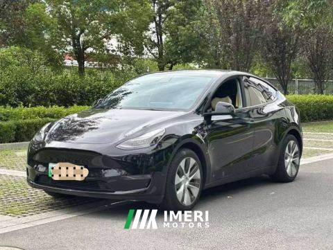 2021 Tesla Model Y Standard endurance rear-wheel drive - car from China