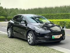Tesla Model Y Standard endurance rear-wheel drive - photo 3