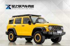 Tank 300 2.0T Frontier Limited Edition - photo 5