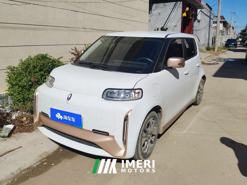 Ora White Cat Edition 360Km Luxury Version - ავტომობილი ჩინეთიდან