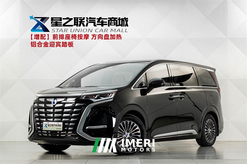 Denza D9 DM-i970AWD Version - car from China