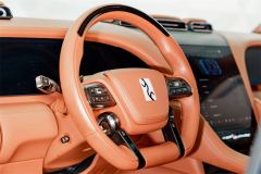 Yangwang U8 Luxury Edition - ფოტო 9