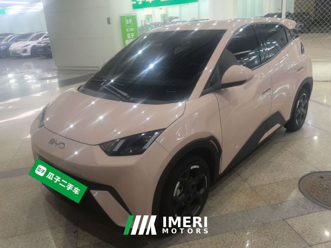 BYD Seagull Honor Edition 305km Free Version - ავტომობილი ჩინეთიდან