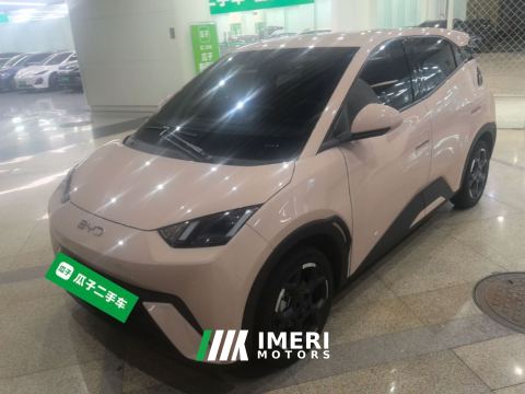 2024 BYD Seagull Honor Edition 305km Free Version - ავტომობილი ჩინეთიდან