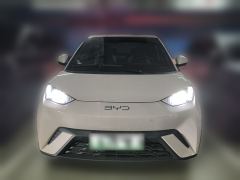 BYD Seagull Honor Edition 305km Free Version - ფოტო 3