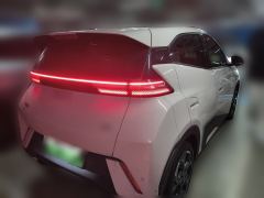 BYD Seagull Honor Edition 305km Free Version - ფოტო 8