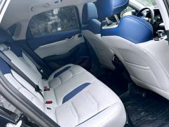 Geely Xingui Xingrui 2.0T Prestigious Edition - photo 11