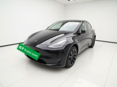 Tesla Model Y Standard endurance rear-wheel drive - фото 1