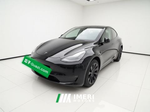 2021 Tesla Model Y Standard endurance rear-wheel drive - ავტომობილი ჩინეთიდან