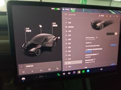 Tesla Model Y Standard endurance rear-wheel drive - фото 8