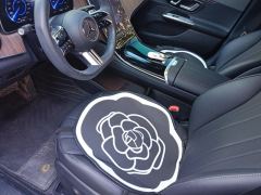 Mercedes-Benz EQE 350 Pioneer Edition - photo 14
