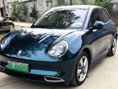 Ora Great Wall Good Cat 401km Standard Range Luxury Edition Ternary Lithium - фото 1