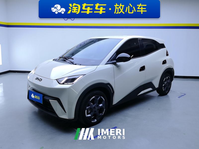 BYD Seagull 305km Free Version - ავტომობილი ჩინეთიდან