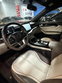 BYD Qin PLUS EV Honor Edition 420km Elite Edition - ფოტო 5