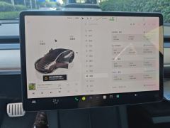 Tesla Model 3 675km Performance High-Performance AWD Version - фото 20