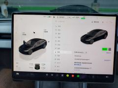 Tesla Model 3 606km Rear-Wheel Drive Edition - фото 17