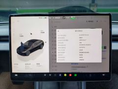 Tesla Model 3 606km Rear-Wheel Drive Edition - фото 18