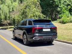 FAW Red Flag E-HS9 690km Range Flagship Edition Six-Seater - photo 6