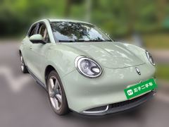 Ora Great Wall Good Cat 401km Prestigious Edition Ternary Lithium - ფოტო 4