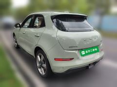 Ora Great Wall Good Cat 401km Prestigious Edition Ternary Lithium - ფოტო 5