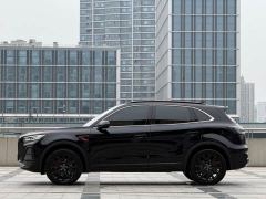 FAW Red Flag HS5 2.0T Two-Wheel Drive Mystic Shadow Edition - photo 3