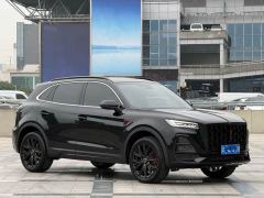 FAW Red Flag HS5 2.0T Two-Wheel Drive Mystic Shadow Edition - photo 4