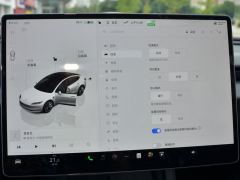 Tesla Model 3 606km Rear-Wheel Drive Edition - ფოტო 14