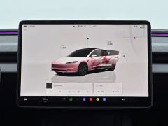 Tesla Model 3 606km Rear-Wheel Drive Edition - ფოტო 9