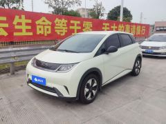 BYD Dolphin 420km Free Version - фото 1