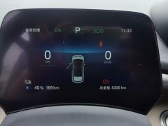 BYD Dolphin 420km Free Version - фото 20