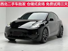 Tesla Model Y 554km Rear-Wheel Drive Edition - ფოტო 1