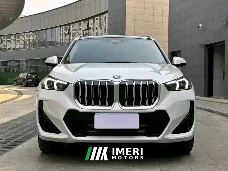 BMW X1 xDrive25Li M Sport Package - car from China