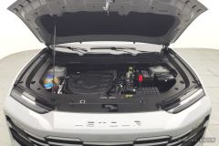 Jetour Dasheng 1.5T PRO - ფოტო 7