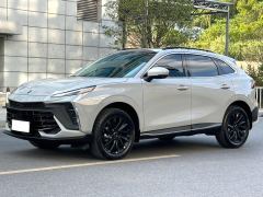 Dongfeng Hafei T5 EVO T5 EVO Edition 1.5T - photo 1