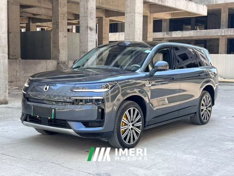 2025 Denza N9 2.0T 202km Flagship - ავტომობილი ჩინეთიდან