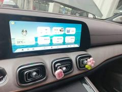 Chery Tiggo 9 2.0T 2WDDeluxe Edition - ფოტო 12