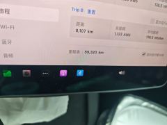 Tesla Model Y Standard endurance rear-wheel drive - ფოტო 8