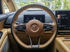 Voyah Dreamer Edition 1.5T 235km AWDFlagship Edition - photo 14