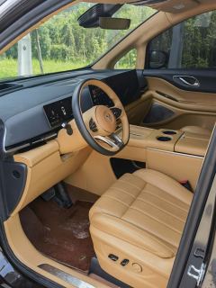 Voyah Dreamer Edition 1.5T 235km AWDFlagship Edition - photo 15