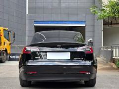 Tesla Model 3 556km Rear-Wheel Drive Edition - фото 13