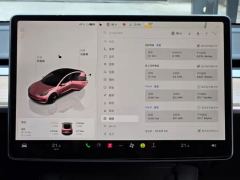 Tesla Model 3 556km Rear-Wheel Drive Edition - фото 14