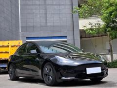 Tesla Model 3 556km Rear-Wheel Drive Edition - фото 3