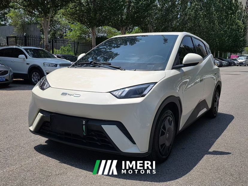 BYD Seagull 305km Vitality Edition - car from China
