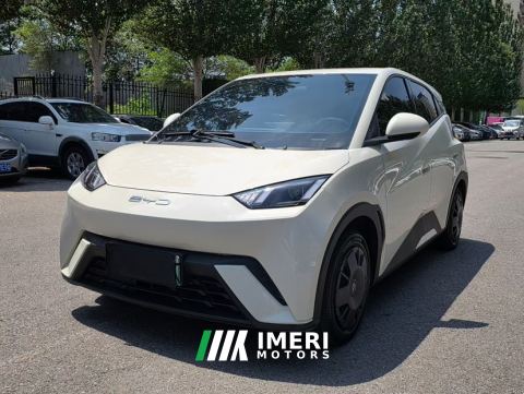 2023 BYD Seagull 305km Vitality Edition - car from China