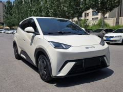 BYD Seagull 305km Vitality Edition - photo 3