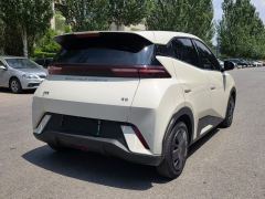 BYD Seagull 305km Vitality Edition - photo 7