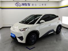 BYD Seagull Smart Driving Edition 305km Vitality Edition - photo 1